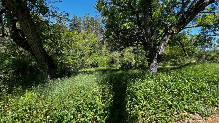 219 Smith Lane, West Point, CA 95255 - #3