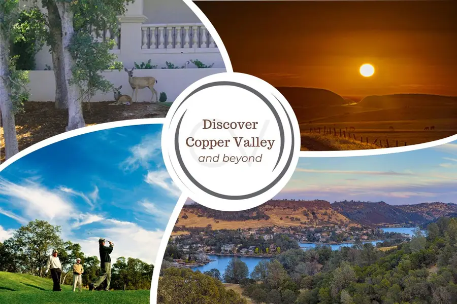 111 Quail Covey Court, Copperopolis, CA 95228 - #3