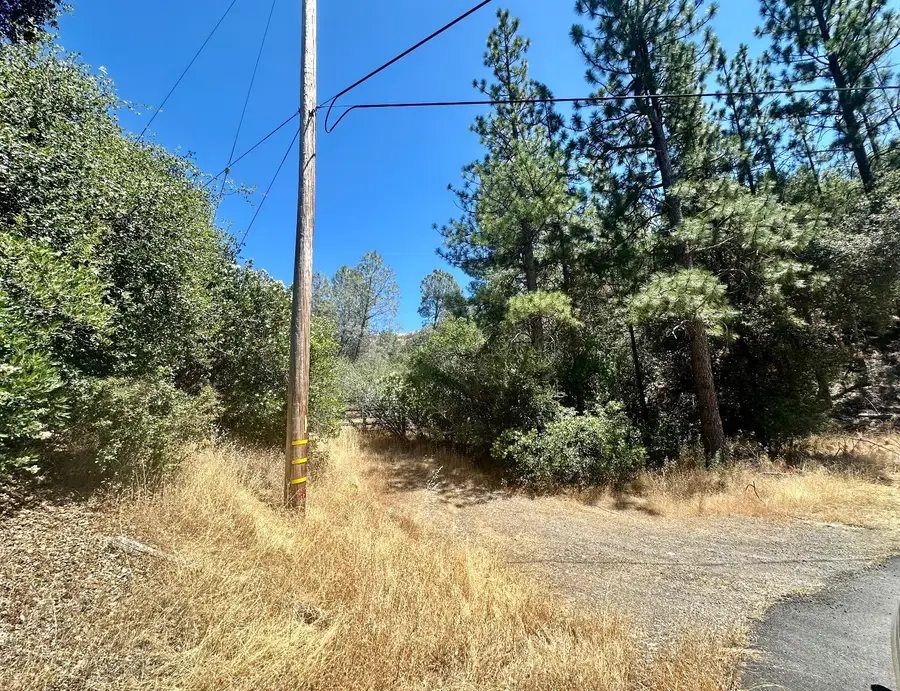 2463 Butte Mountain Road, Murphys, CA 95247 - Image #2