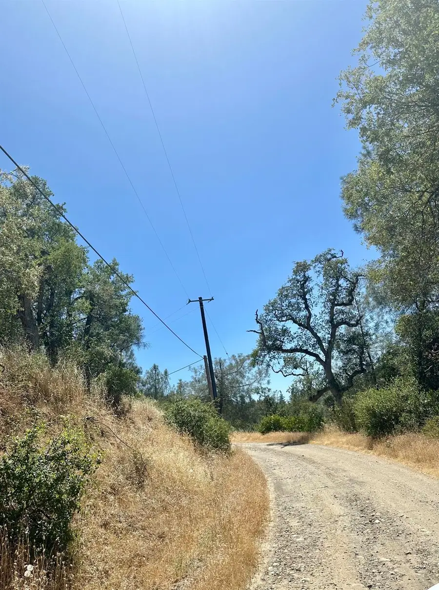 2463 Butte Mountain Road, Murphys, CA 95247 - Image #3