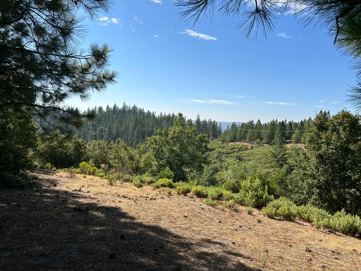 0 Sheep Ranch Road, Murphys, CA 95247 - #1