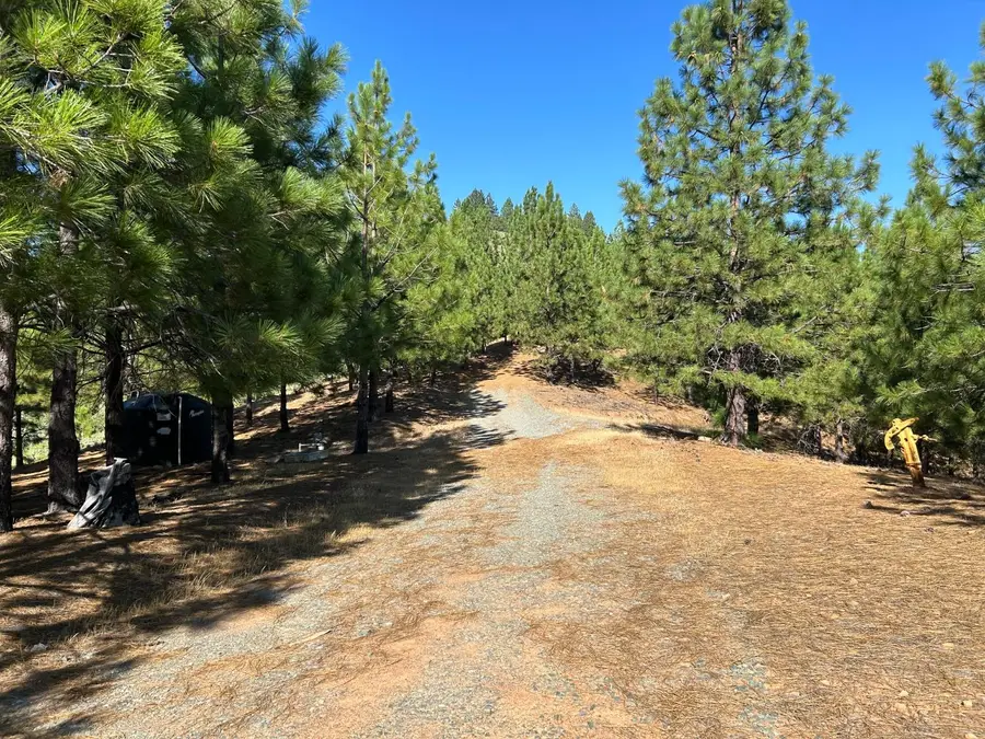 0 Sheep Ranch Road, Murphys, CA 95247 - #2