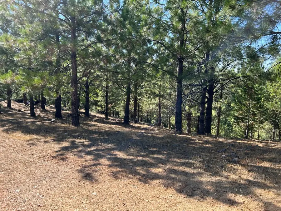 0 Sheep Ranch Road, Murphys, CA 95247 - #3