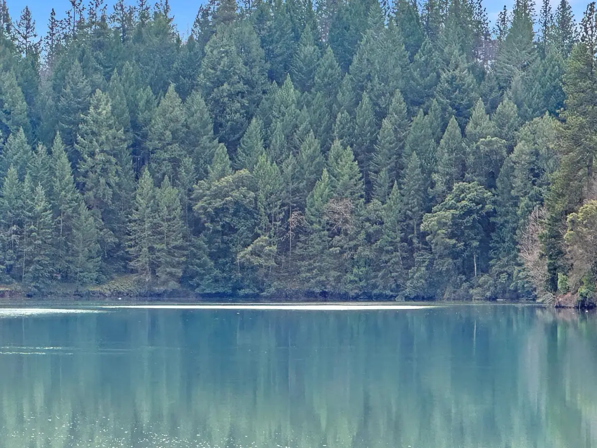 17871 Rollins View Drive, Grass Valley, CA 95945 - Image #1