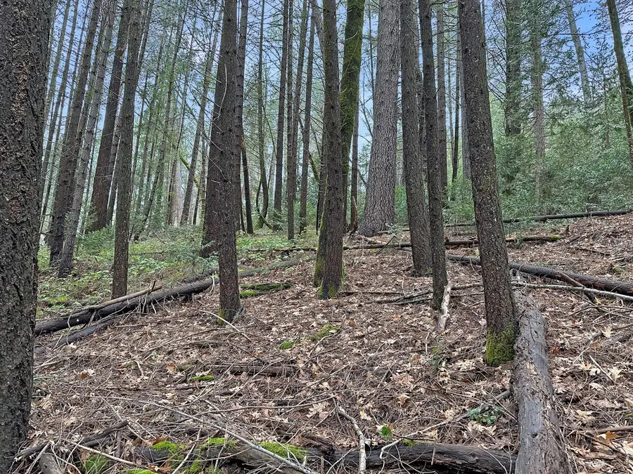 17871 Rollins View Drive, Grass Valley, CA 95945 - Image #2