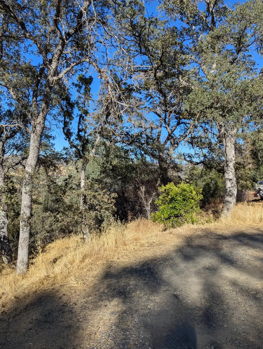 4625 Bayview Drive, Copperopolis, CA 95228 - #2