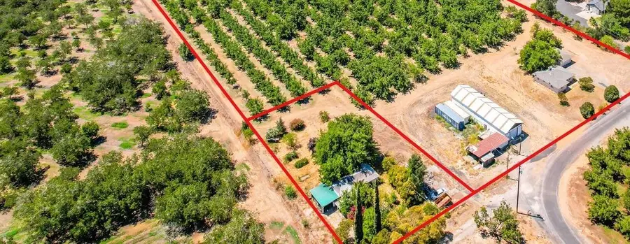 774 Lattin Road, Biggs, CA 95917 - Image #2