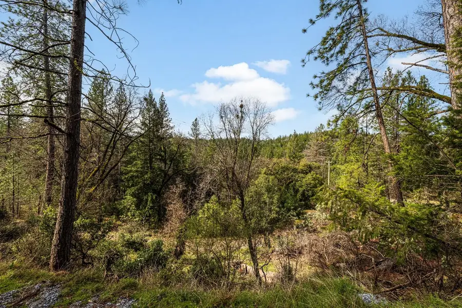 1767 Swansboro Road, Placerville, CA 95667 - Image #3
