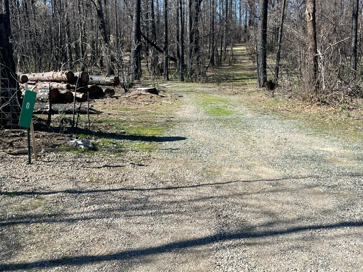 0 Shane Court, Berry Creek, CA 95916 - Image #1