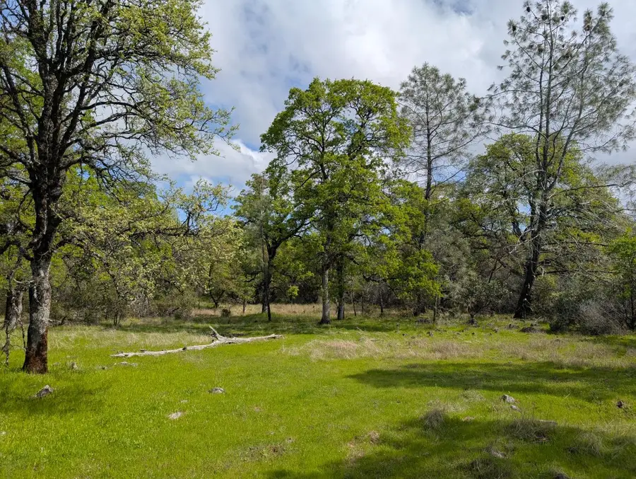 14677 Begonia Way, Oregon House, CA 95962 - Image #3