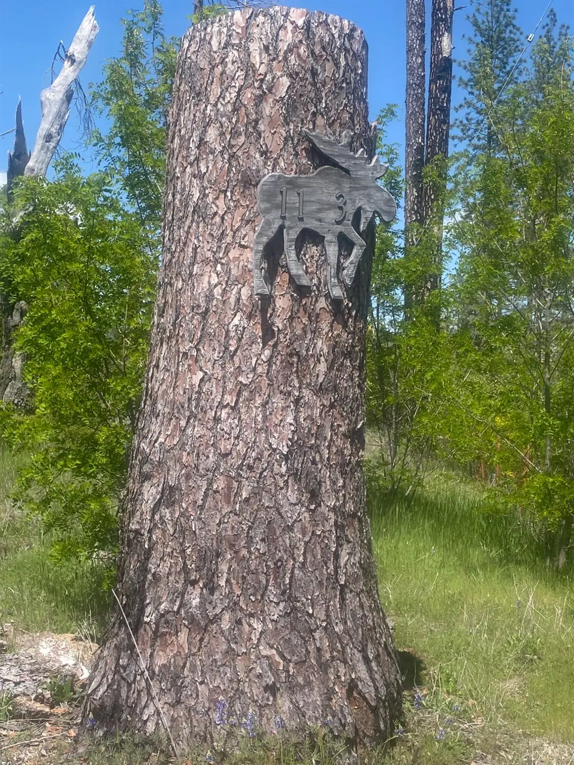 1103 Bald Rock Road, Berry Creek, CA 95916 - Image #1