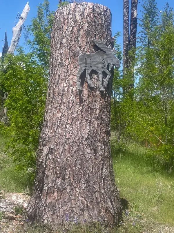 1103 Bald Rock Road, Berry Creek, CA 95916