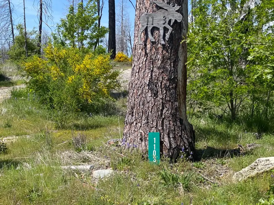 1103 Bald Rock Road, Berry Creek, CA 95916 - Image #2