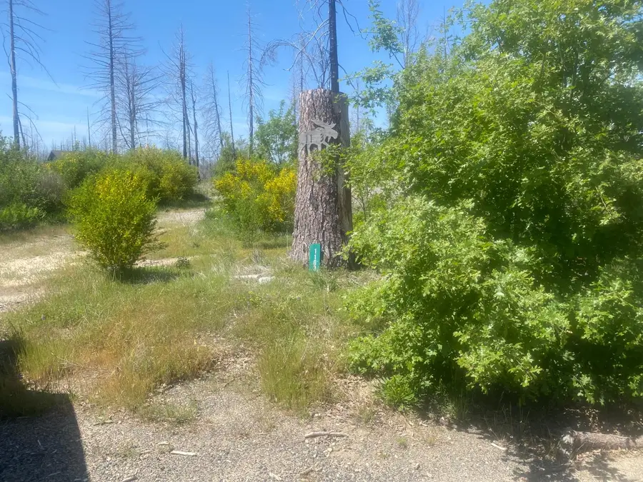 1103 Bald Rock Road, Berry Creek, CA 95916 - Image #3