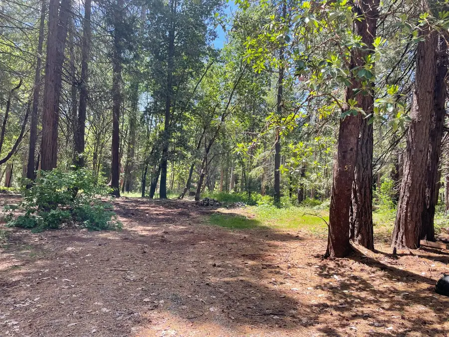 55 Buckeye Drive, Forbestown, CA 95941 - Image #2