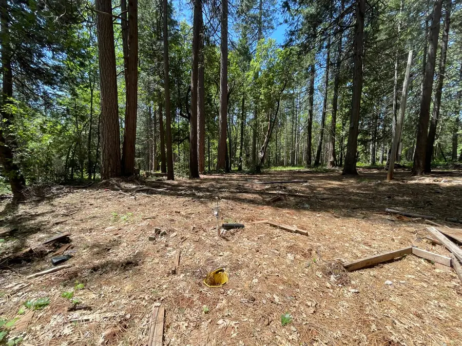 55 Buckeye Drive, Forbestown, CA 95941 - Image #3