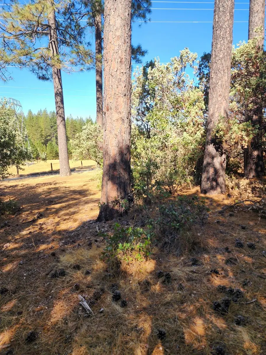 10550 Tabeaud Road, Pine Grove, CA 95665 - #2
