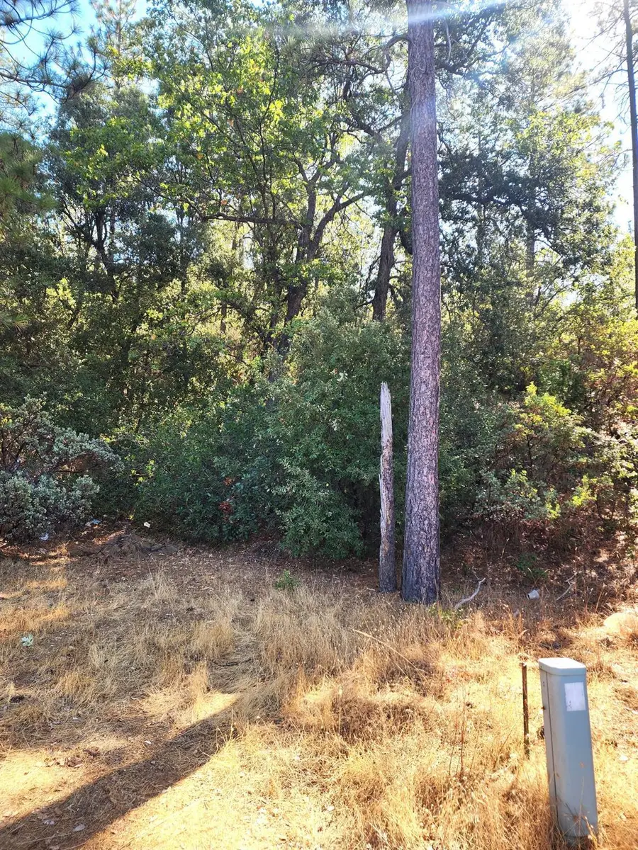 10550 Tabeaud Road, Pine Grove, CA 95665 - #3