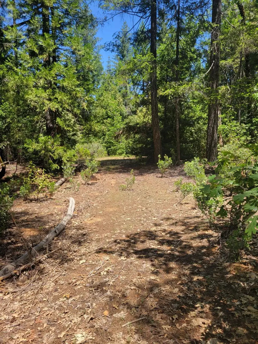 12 Ringtail, Georgetown, CA 95634 - Image #2