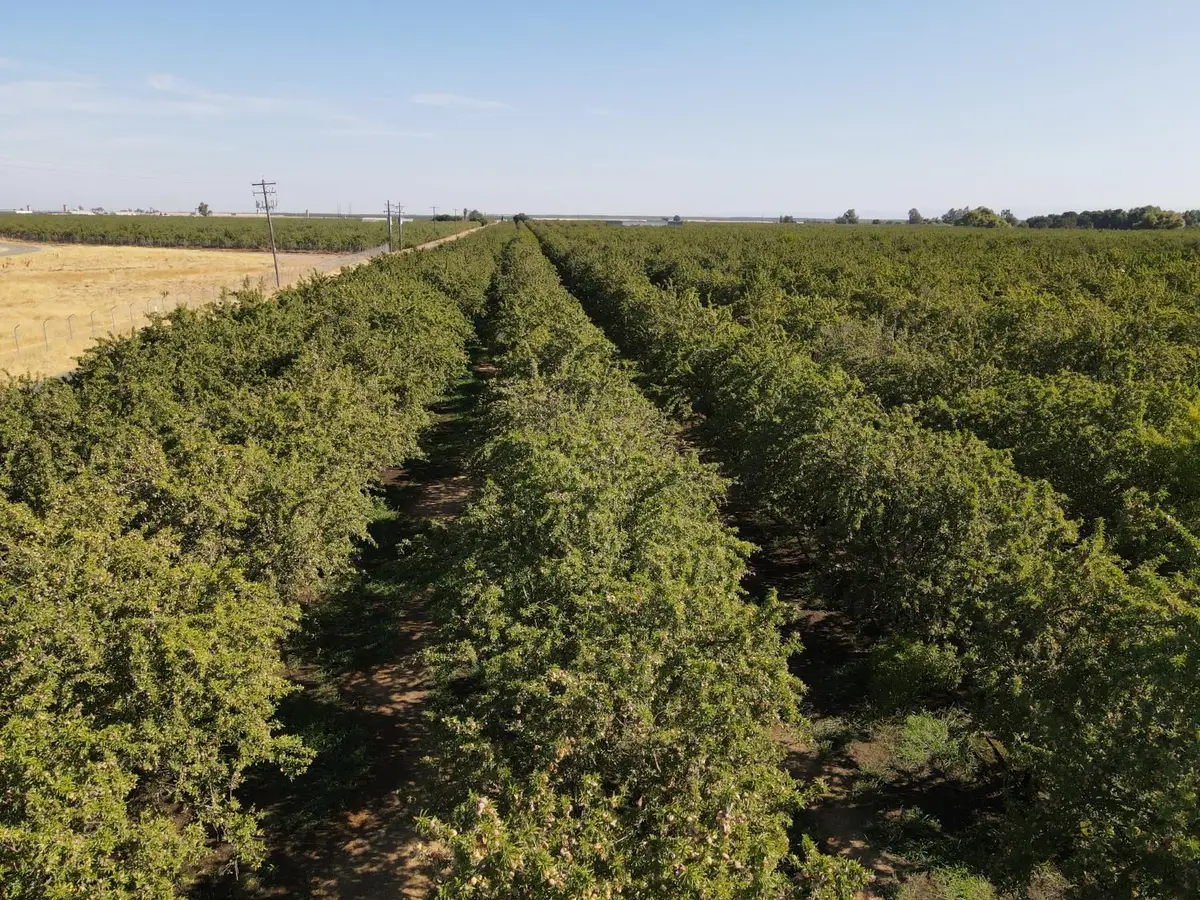 0 Fox Road, Atwater, CA 95301 - #1