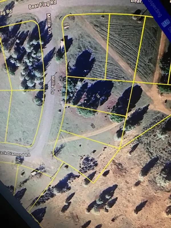 120 Millie Lane, Stonyford, CA 95979