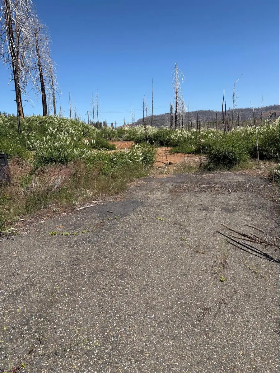 6855 E Tyler Drive, Grizzly Flats, CA 95636 - Image #3