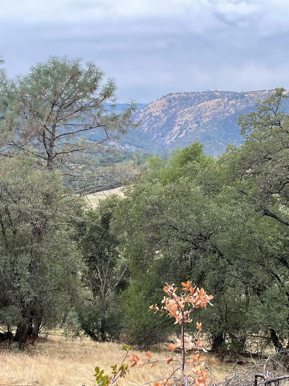 7902 Campo Seco Turnpike, Mokelumne Hill, CA 95245 - Image #1