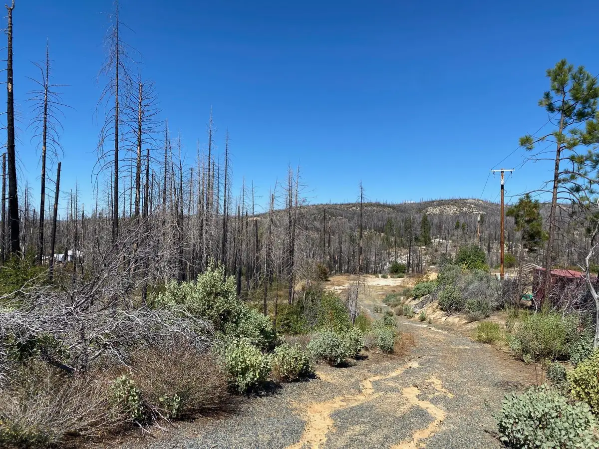 1465 Bald Rock Road, Berry Creek, CA 95916 - Image #1