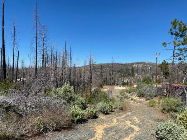 1465 Bald Rock Road, Berry Creek, CA 95916