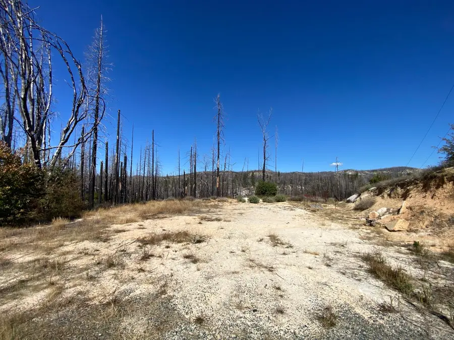 1465 Bald Rock Road, Berry Creek, CA 95916 - Image #3