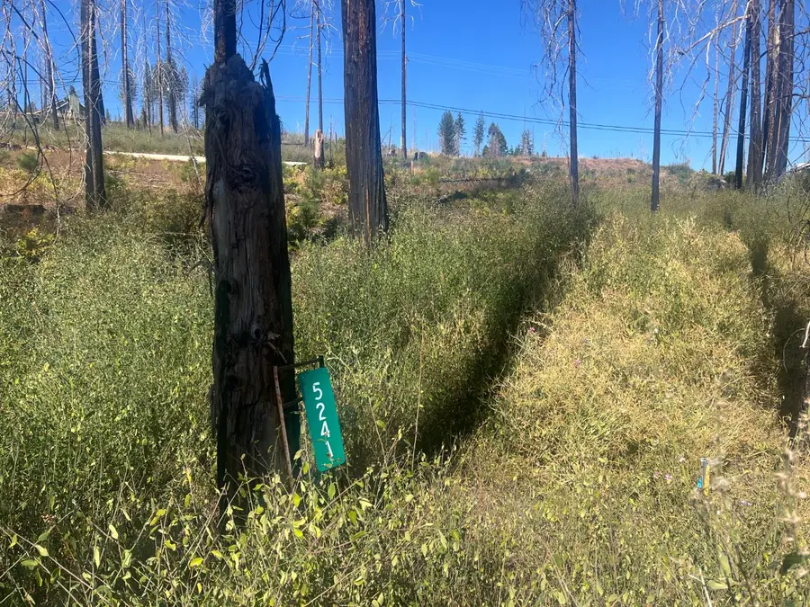 5241 Golden Aspen Drive, Grizzly Flats, CA 95636 - Image #2