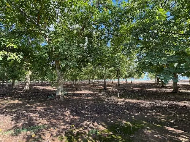 0 Gallagher Road, Rio Oso, CA 95674 - Image #1