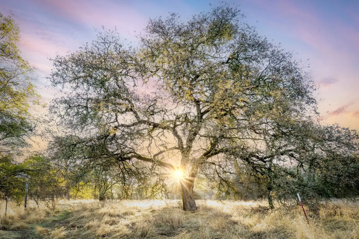 0 Penny Way, Browns Valley, CA 95918 - Image #1