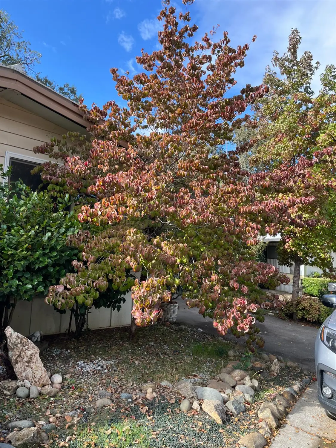 3550 China Garden #38, Placerville, CA 95667 - Image #1