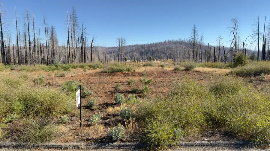 5046 Cary Drive, Grizzly Flats, CA 95636 - Image #3