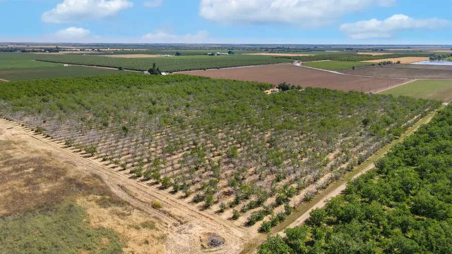 20740 County Road 87, Winters, CA 95694 - Image #3