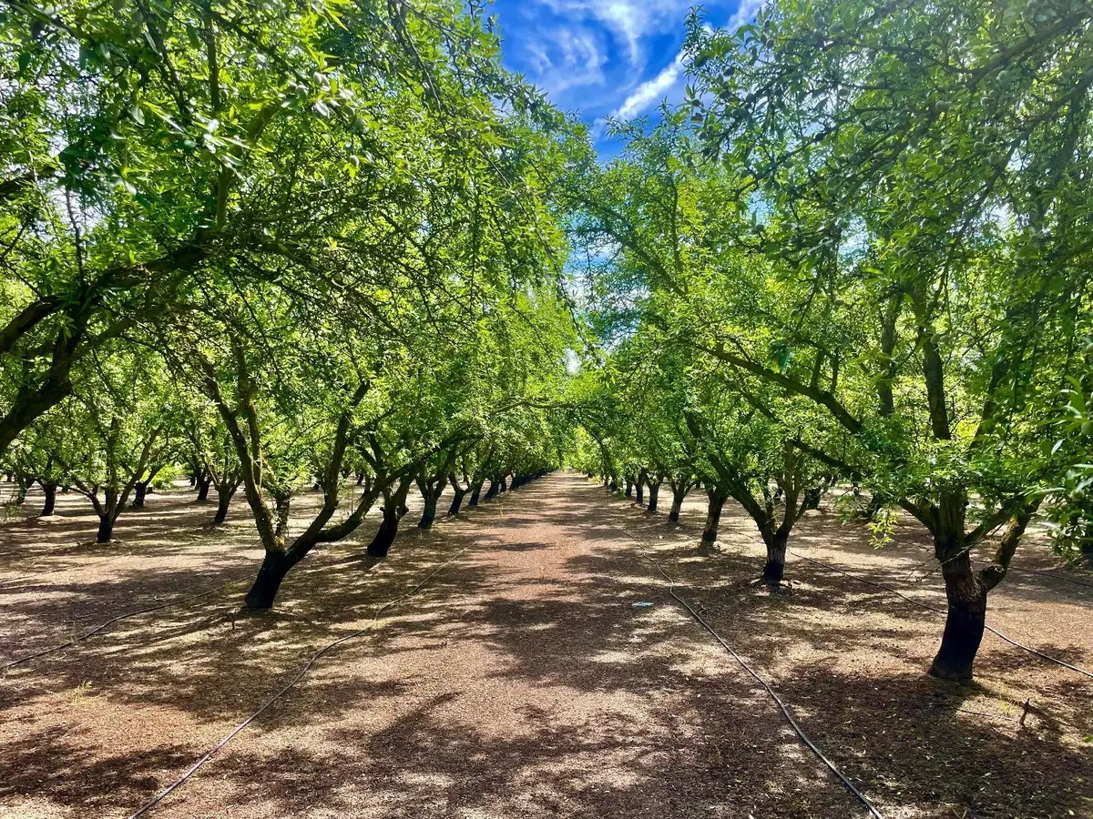 0 Blue Gum Avenue, Modesto, CA 95358 - Image #1