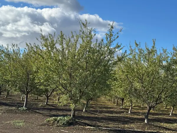 0 Striplin Road, Pleasant Grove, CA 95668