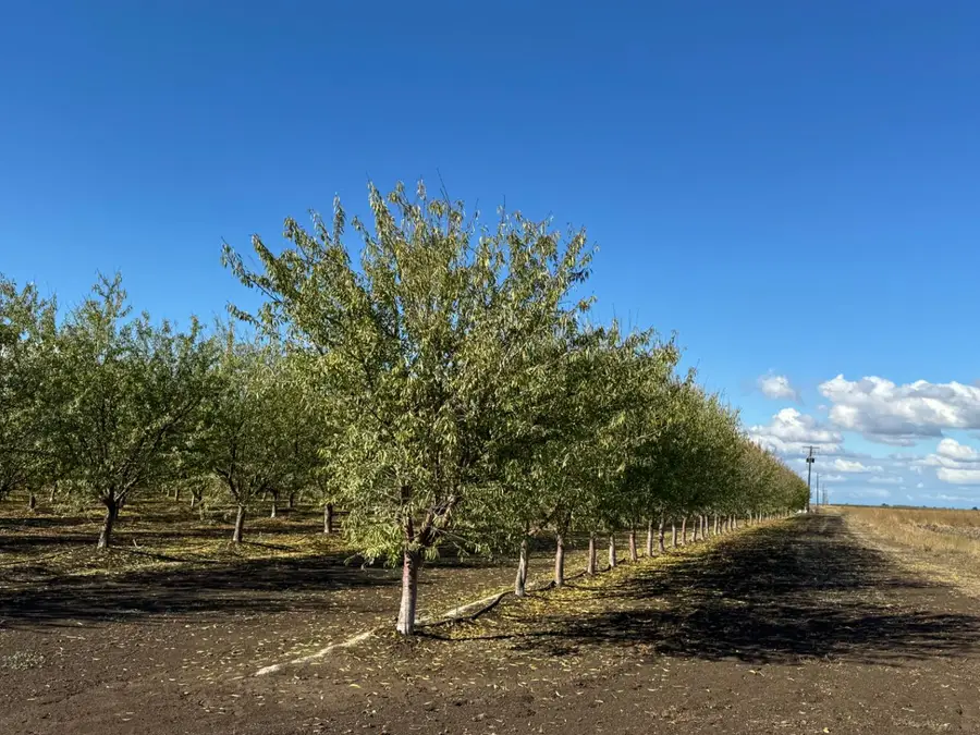 0 Striplin Road, Pleasant Grove, CA 95668 - Image #2