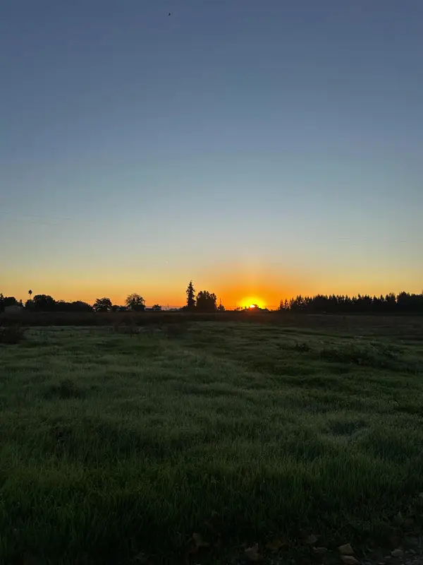 21428 N Dutchess Lane, Acampo, CA 95220