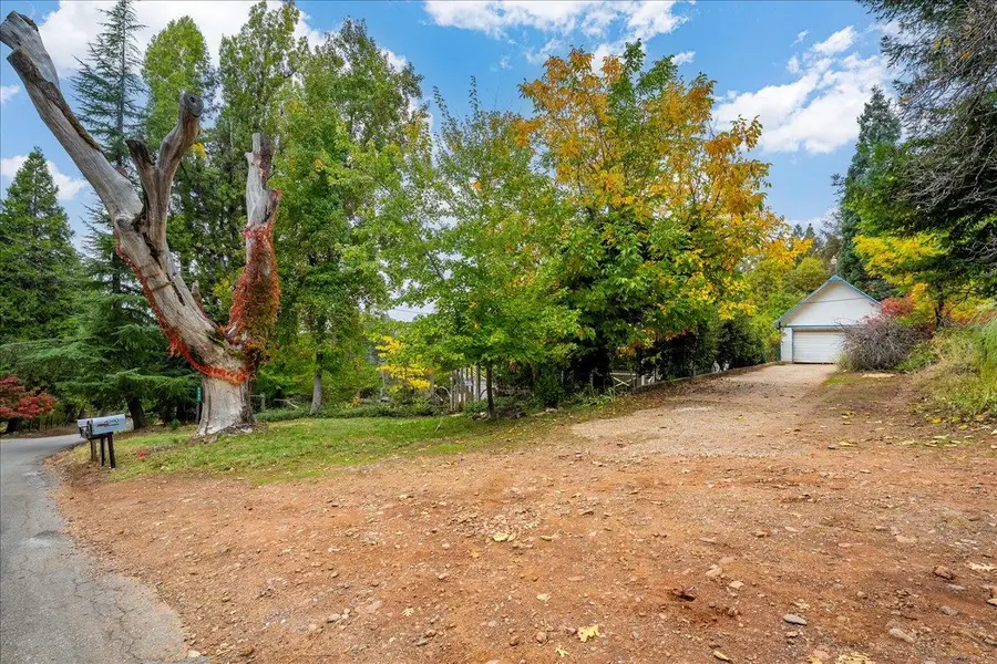 9501 Grizzly Flat Road, Grizzly Flats, CA 95636 - Image #3