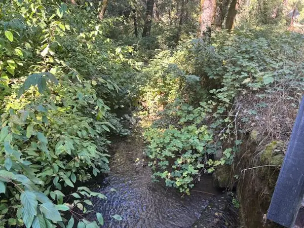 2936 Independence Road, Rail Road Flat, CA 95245