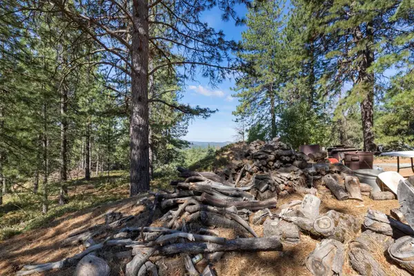 25251 Canterbury Road, Pioneer, CA 95666