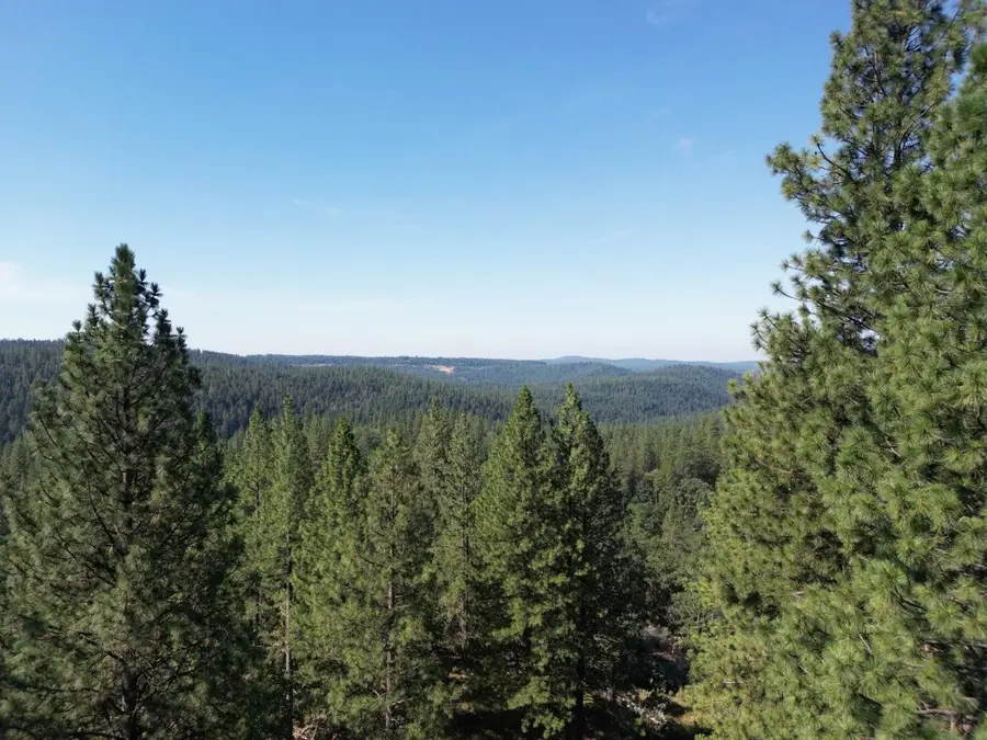 25251 Canterbury Road, Pioneer, CA 95666 - #3