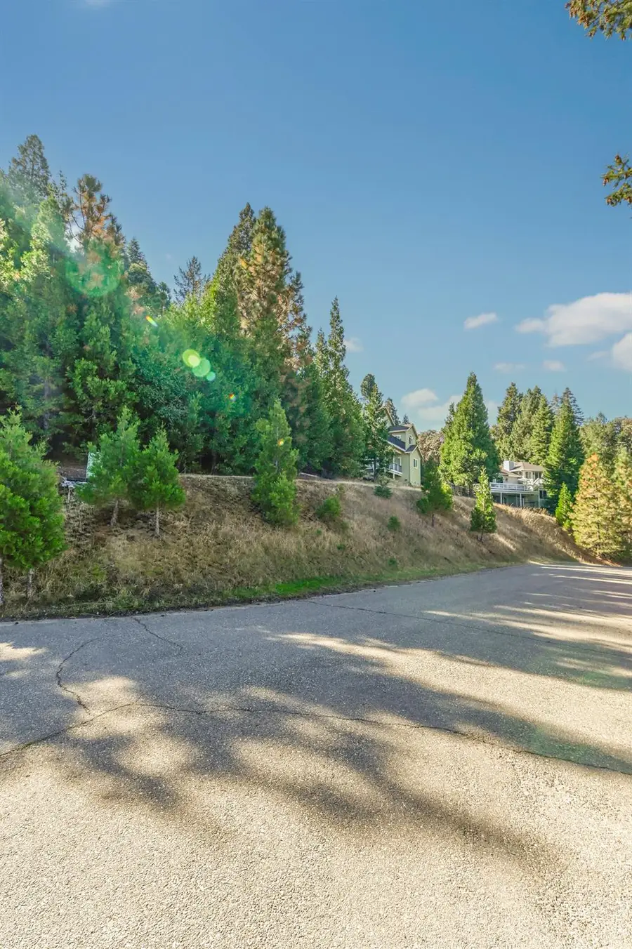 26250 Spyglass Court, Pioneer, CA 95666 - Image #3