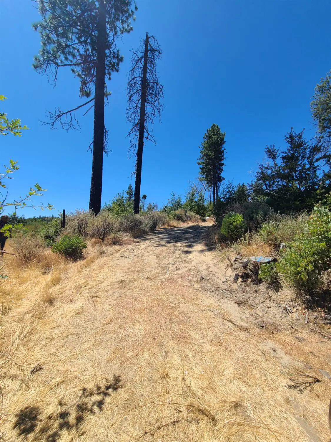 0 Hog Ranch Road, Concow, CA 95965 - Image #1