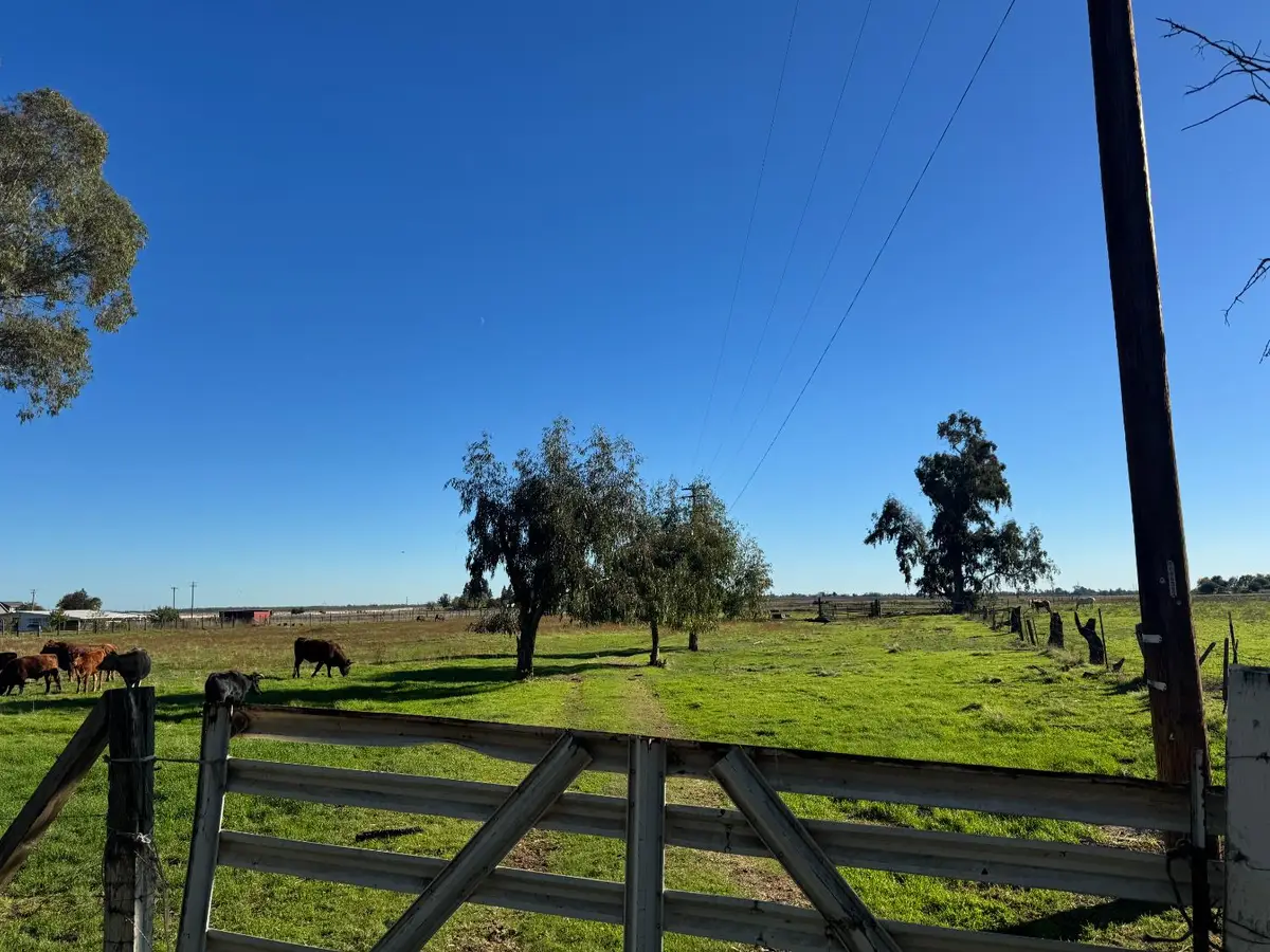 0 Blake Road, Wilton, CA 95693 - Image #1