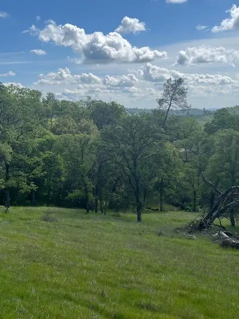 23 Wades Way, Browns Valley, CA 95918 - Image #3