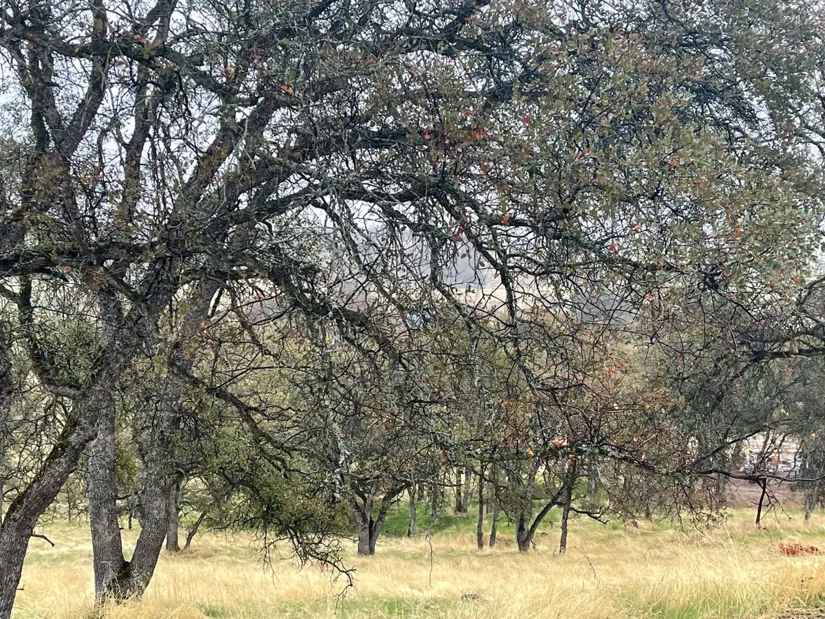 9520 Mercado, La Grange, CA 95329 - Image #1