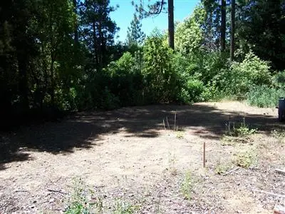 0 Oro Quincy Highway, Berry Creek, CA 95916